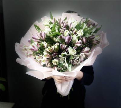 Нежные альстромерии 2652