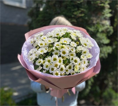 Поцелуй солнца 2835 - фото 6487
