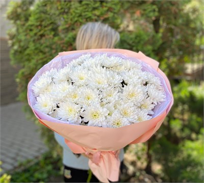 Букет из 9 кустовых хризантем 2840 - фото 6495