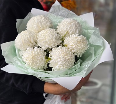 Стильный монохром 3239