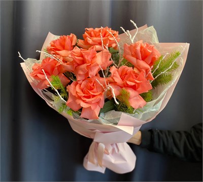 Мороз и солнце 3293