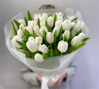 №24 Букет из белых тюльпанов 3348