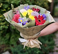 Снова в школу 2411