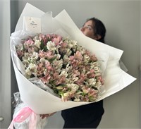 31 чудесная альстромерия 2648