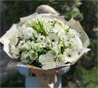 Реверанс 2834