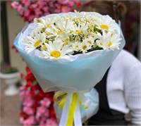 Ромашковый луг 2864