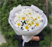 Букет из ромашек 2866