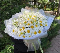 Ромашковое настроение 2882