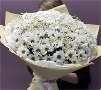 Букет №9 2900