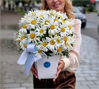 Композиция из ромашек 2904