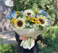 Солнечное настроение 2953