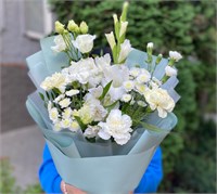 Белое облако 2985