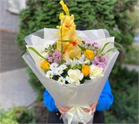 Солнечный зайчик 2989