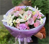 Полет мечты 3082