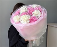 Букет из 13 нежных диантусов 3119