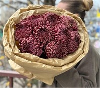 Букет из 9 хризантем 3177
