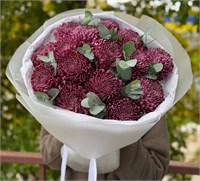 Букет из 15 хризантем с фисташкой 3180