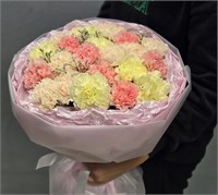 Букет из нежных диантусов 3252