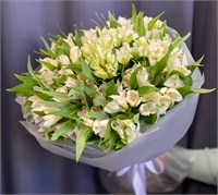 Букет из 25 белых альстромерий 3366