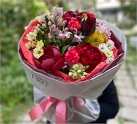 Интуиция 3518