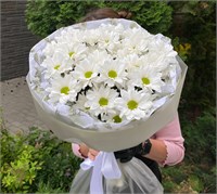 Букет из 5 белых кустовых хризантем 3533