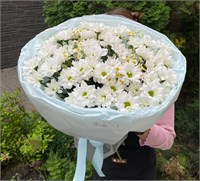 Букет из матрикарии и 9 кустовых хризантем 3535