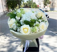 Светлые грани 3548