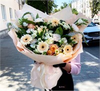 Гармония цвета 3549