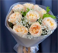 Букет из 9 роз с гипсофилой и зеденью 3560