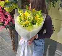 Солнечное кружево 3583