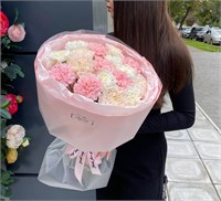 Нежный букет из 17 диантусов 3638