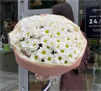 Букет из 9 кустовых хризантем 2840