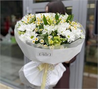 Светлые сны 3664