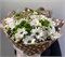 Весенний привет. Букет с топпером 2731