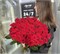 №5 Букет из 51 яркой розы 2606